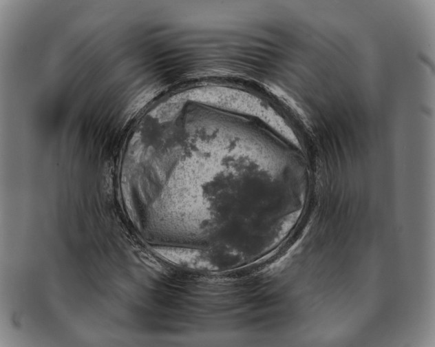 X0000091010921200708241509