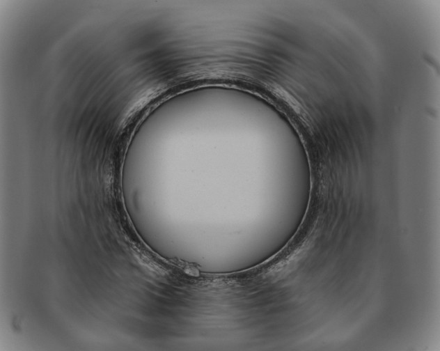 X0000091010922200708241509