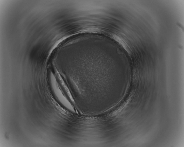 X0000091010923200708241509