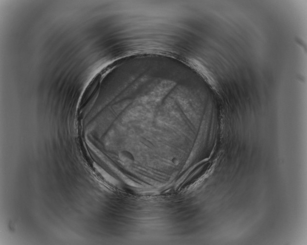 X0000091010924200708241509