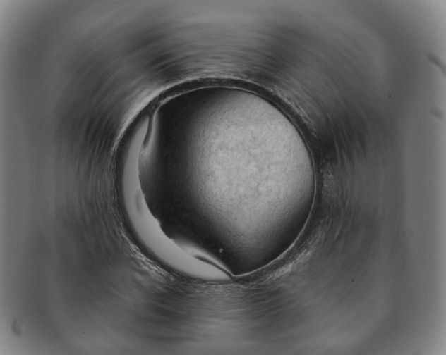 X0000091010926200708241509