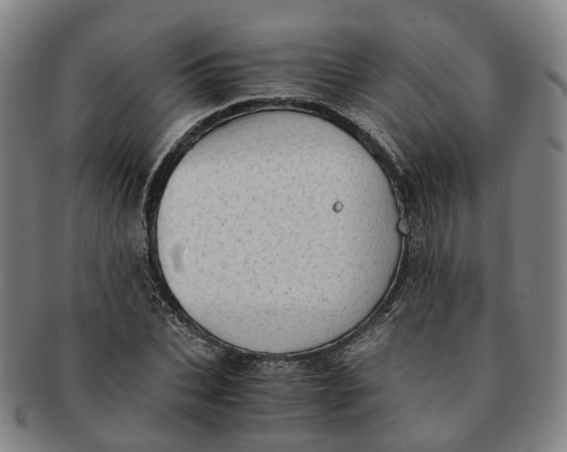 X0000091010927200708241509