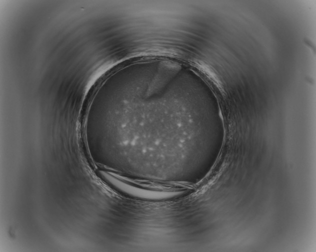 X0000091010928200708241509