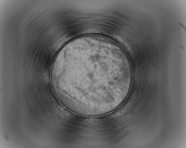 X0000091010929200708241509