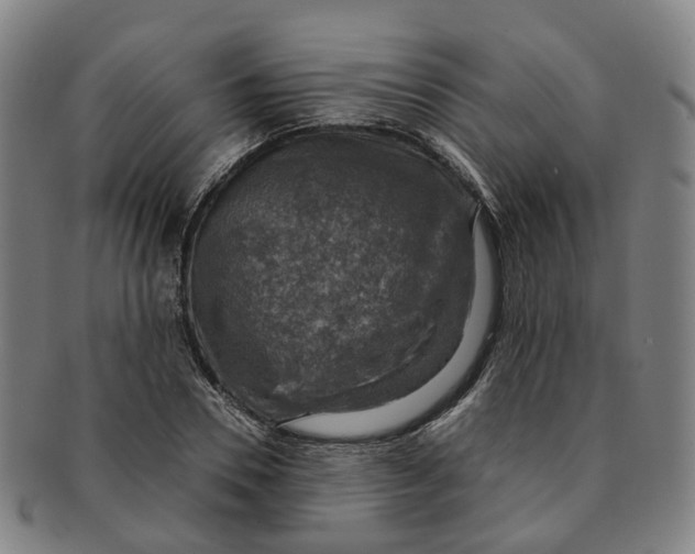 X0000091010930200708241509