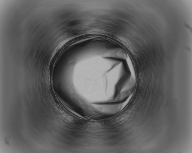 X0000091010931200708241509