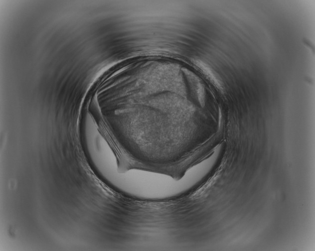 X0000091010932200708241509