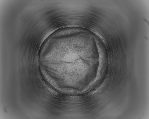 X0000091010933200708241509