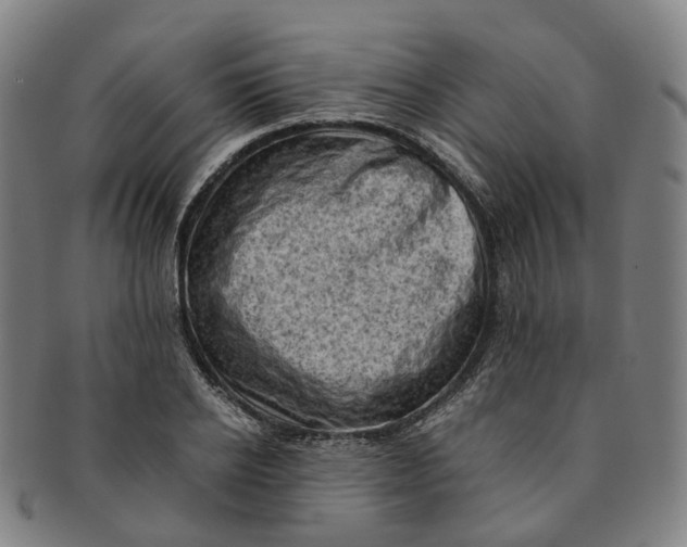 X0000091010934200708241509