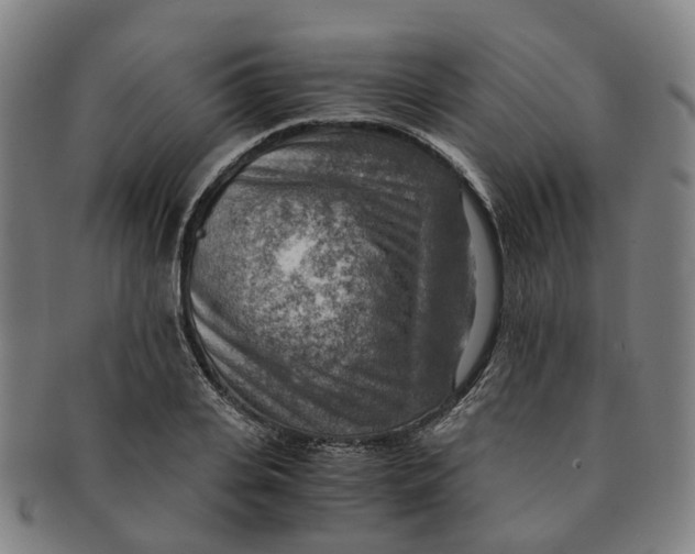 X0000091010935200708241509