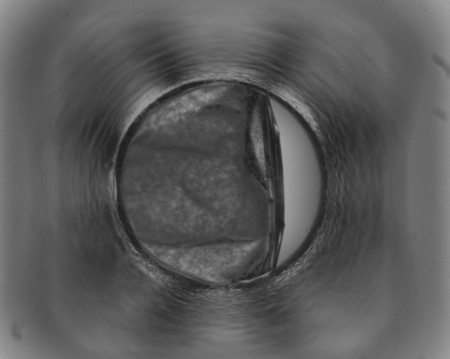 X0000091010936200708241509