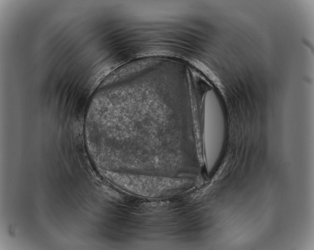 X0000091010937200708241509