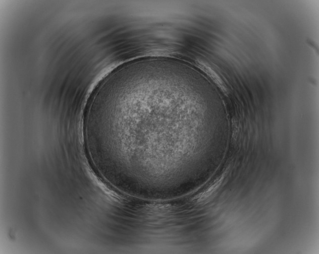 X0000091010939200708241509