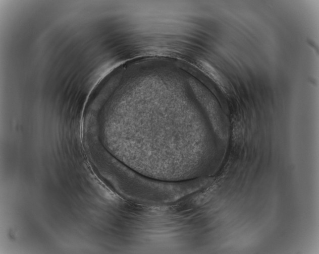 X0000091010940200708241509