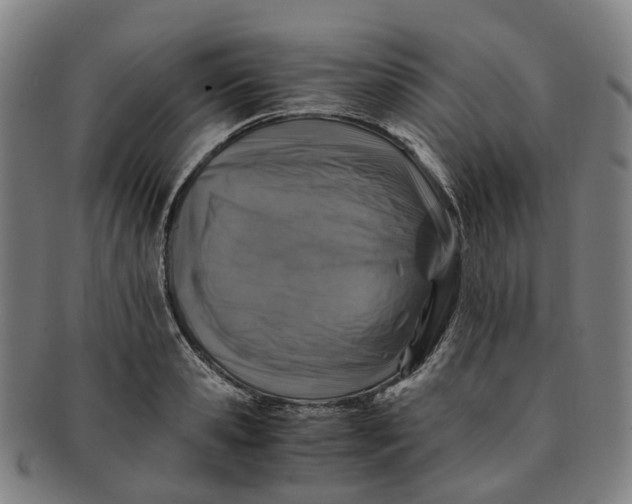 X0000091010941200708241509