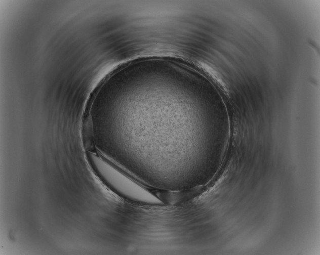 X0000091010942200708241509