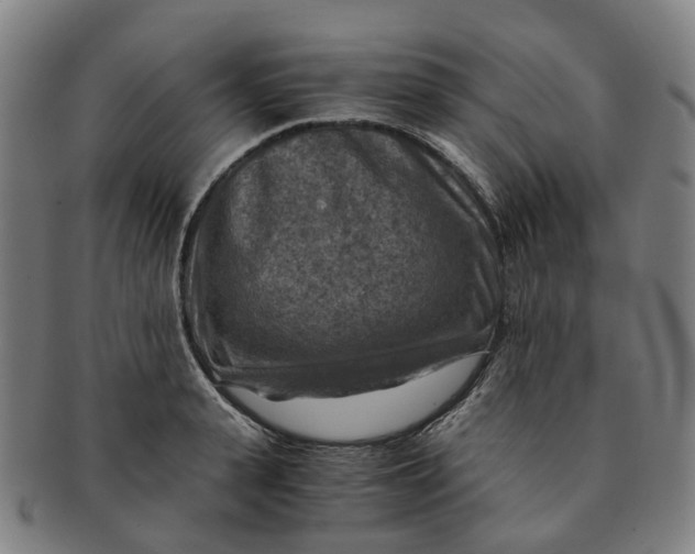 X0000091010943200708241509