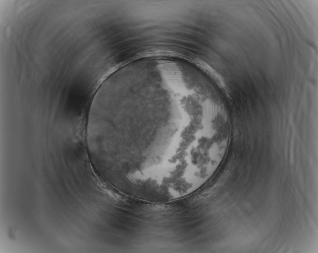 X0000091010945200708241509