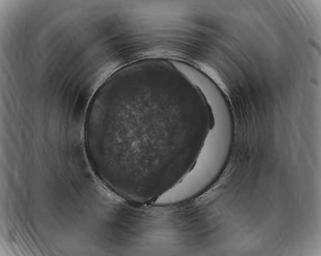 X0000091010946200708241509