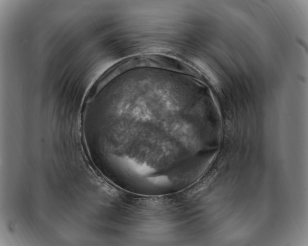 X0000091010948200708241509