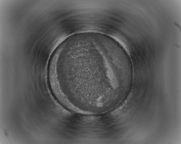 X0000091010949200708241509