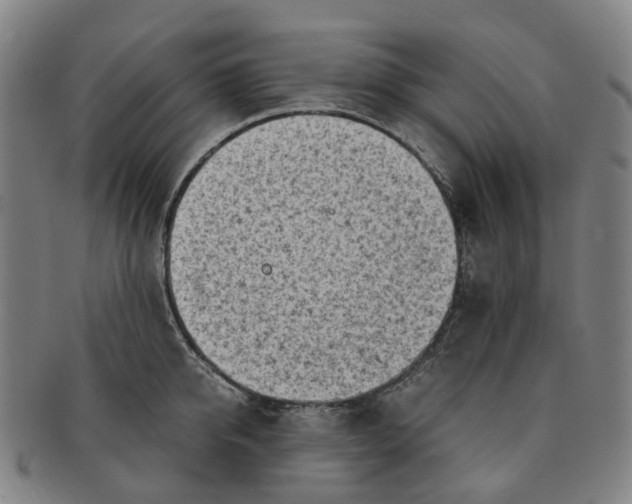 X0000091010950200708241509