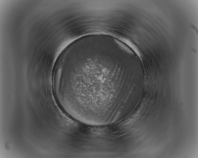 X0000091010951200708241509