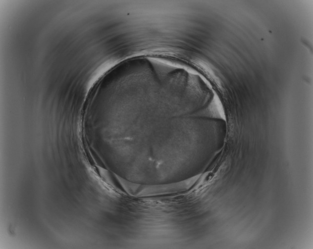 X0000091010952200708241509