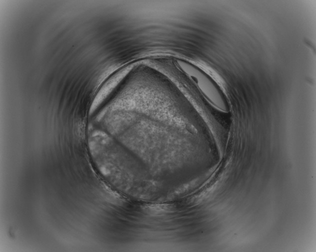 X0000091010953200708241509