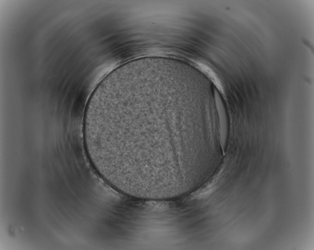 X0000091010954200708241509