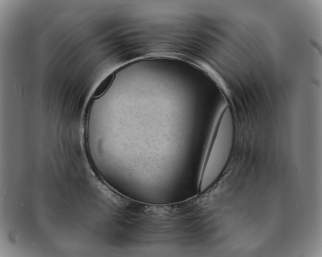 X0000091010955200708241509