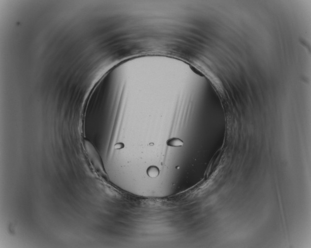 X0000091010956200708241509