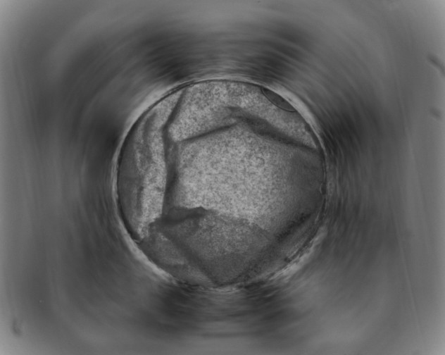 X0000091010957200708241509