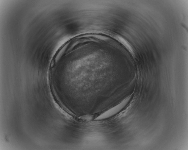 X0000091010958200708241509