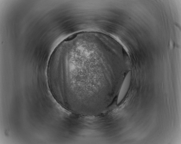 X0000091010959200708241509