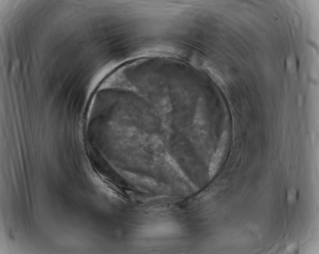 X0000091010960200708241509