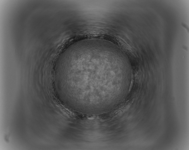 X0000091010961200708241508