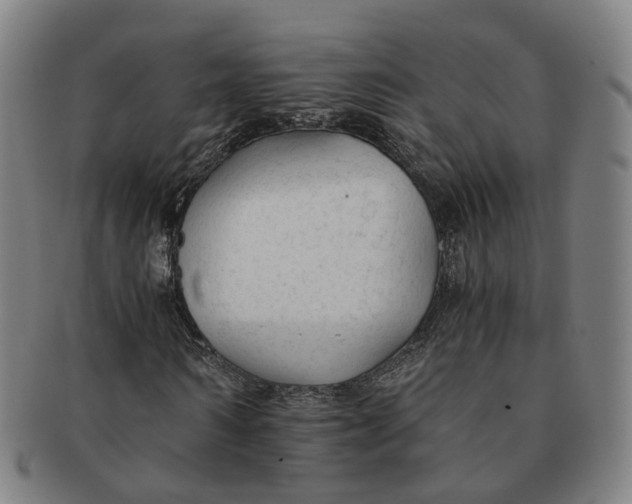 X0000091010962200708241508