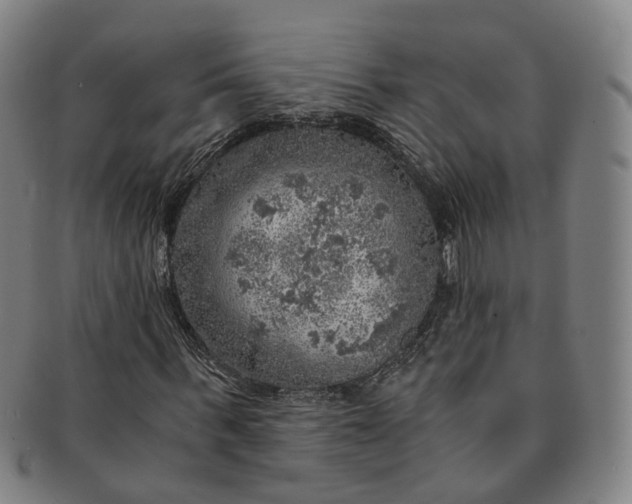 X0000091010963200708241508