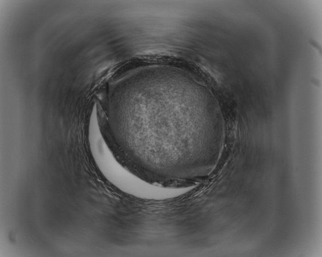 X0000091010965200708241508