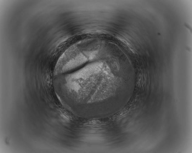 X0000091010966200708241508