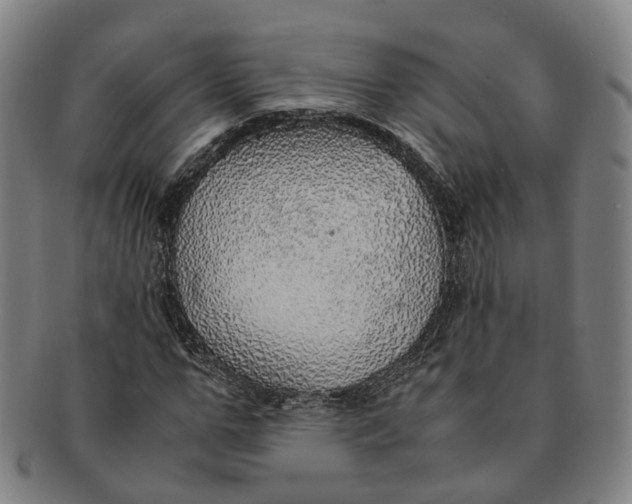 X0000091010967200708241508