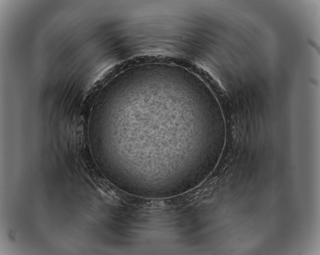 X0000091010968200708241508