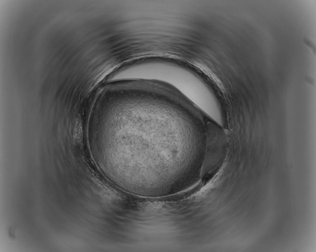 X0000091010969200708241508