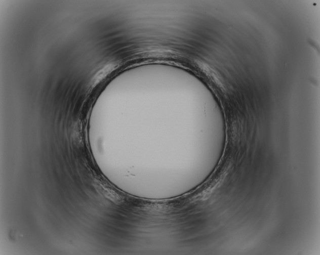 X0000091010970200708241508