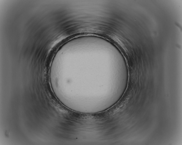 X0000091010971200708241508