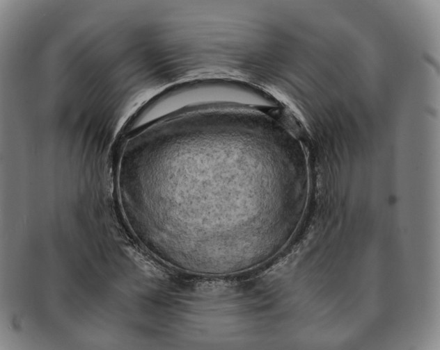 X0000091010973200708241508