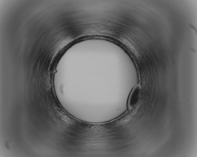 X0000091010974200708241508