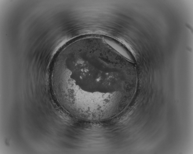 X0000091010975200708241508