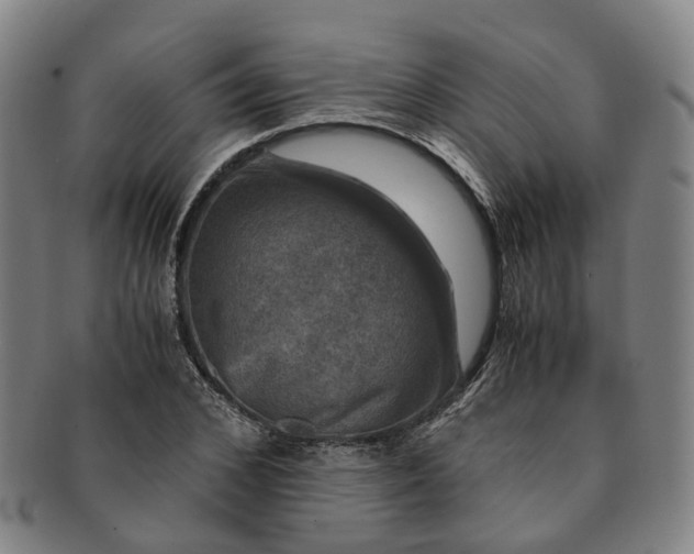 X0000091010976200708241508